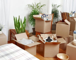 packers and movers paonta