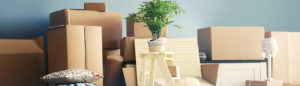 packers and movers bokaro.